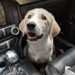 Meet your Posher, Arya